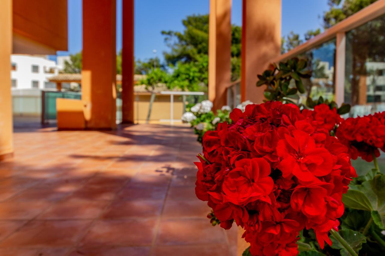 דירות דניה Realrent Mirador Al Mar מראה חיצוני תמונה